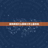 属狗男和什么属相工作上最合拍，属狗的人和什么属相的人坐在一起工作最旺财