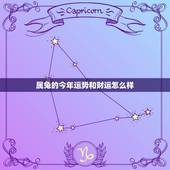 属兔的今年运势和财运怎么样，属兔的今年运气怎样