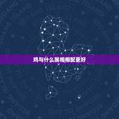 鸡与什么属相相配更好，属鸡婚姻配什么生肖好