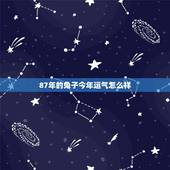 87年的兔子今年运气怎么样，87年兔本命年运势