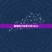 属狗的今年多少岁2022，生肖狗2023年运势大全