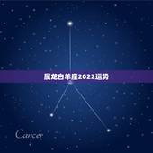 属龙白羊座2022运势，请大师指点，属龙人，白羊座