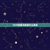 1978年属马的是什么命年，1978年属马五行属什么