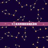 十二生肖有哪些是哺乳动物，十二生肖哺乳动物有几个
