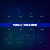 生肖狗和什么属相相配好，请问属狗的和什么属相最配？
