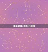 阳历18年2月14日属相，2018年2月14日情人节出生宝宝属什么