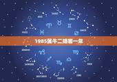 1985属牛二婚哪一年，1985年属牛女人一辈子有几次婚姻