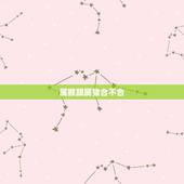 属猴跟属猪合不合，男属猴女属猪相克吗
