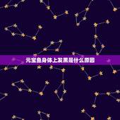 元宝鱼身体上发黑是什么原因，锦鲤身上发黑是什么原因