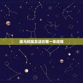 属马和属龙适合哪一年结婚，属龙和属马合财吗