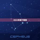 2022年添丁属相，1980年属猴2022 年添丁