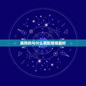 属狗的与什么相配婚姻最好，十二生肖中的狗和什么配呢
