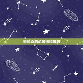 男鸡女鸡的属相相配吗，男属相鸡和女属相鸡可以吗