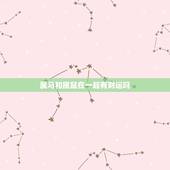 属马和属鼠在一起有财运吗，属马和属鼠的有没有结婚的？