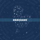 属兔男孩命运如何，十二生肖属兔命好不好