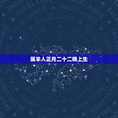 属羊人正月二十二晚上生，1991年正月二十二是仟么命