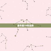 金牛座19年运势，2019年金牛座的整体运势怎么样，会有起伏吗？
