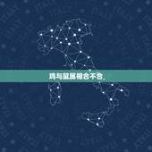 鸡与鼠属相合不合，鸡与鼠的姻缘