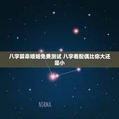 八字算命婚姻免费测试 八字看配偶比你大还是小