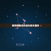 属狗和属虎的适合做夫妻吗，属狗的人和属虎的人配吗？