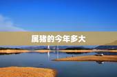 属猪的今年多大，83年猪一生有二婚