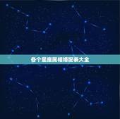 各个星座属相婚配表大全，十二生肖配对十二星座配对？