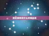 测正缘桃花什么时候出现，测正缘出现时间