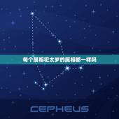 每个属相犯太岁的属相都一样吗，2021年属相犯太岁的有哪些