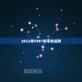 2022年1991年羊的运势，1991年属羊女在2021年全年运势