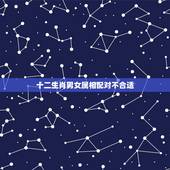 十二生肖男女属相配对不合适，十二生肖男女更佳配对表