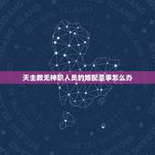 天主教无神职人员的婚配圣事怎么办，请问主教也分不同的级别吗？是不是也要