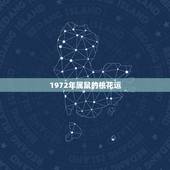 1972年属鼠的桃花运，七二属鼠的桃花运二o一八年