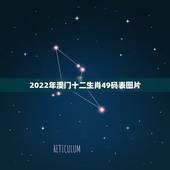 2022年澳门十二生肖49码表图片，2022年是啥生肖年