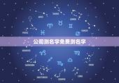 公司测名字免费测名字，公司名字测试打分
