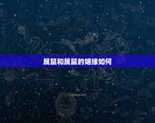 属鼠和属鼠的姻缘如何，1996属鼠女的一生婚姻