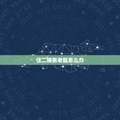 住二楼有老鼠怎么办，专门吓老鼠的猫叫声
