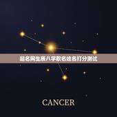 起名网生辰八字取名姓名打分测试，生辰八字姓