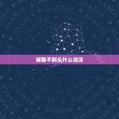 猪猴不到头什么说法，有&amp;#8221;猪猴不到头&amp;#8221;的说法吗？
