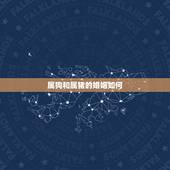 属狗和属猪的婚姻如何，属狗的和属猪的适合做夫妻吗？