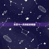 农历十一月的蛇的婚姻，2022 年11月份属蛇人的运势