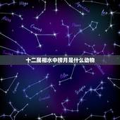 十二属相水中捞月是什么动物，水中捞月是指什么生肖