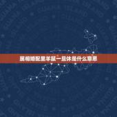 属相婚配里羊鼠一旦休是什么意思，2015年是羊年，生肖鼠之人本年&amp;#8221;子未