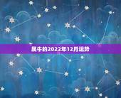 属牛的2022年12月运势，73年属牛49岁2022年的运势