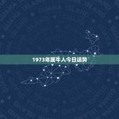 1973年属牛人今日运势，73年属牛的人今后几年财运如何