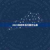2021年的牛五行属什么命，2021牛年是什么命年