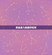 养金鱼几条最好旺财，金鱼养几条风水好