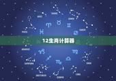 12生肖计算器，生肖年龄计算器
