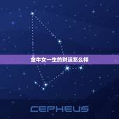 金牛女一生的财运怎么样，金牛座一生运势怎样