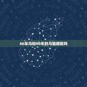 66年马和90年的马能婚配吗，66年属水马与90年属土马可以合作吗
