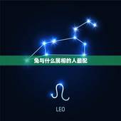 兔与什么属相的人最配，兔男和什么属相最配